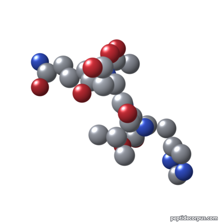 Space-filling 3D model of Acetyl Tetrapeptide-9, carbon grey, nitrogen blue, oxygen red
