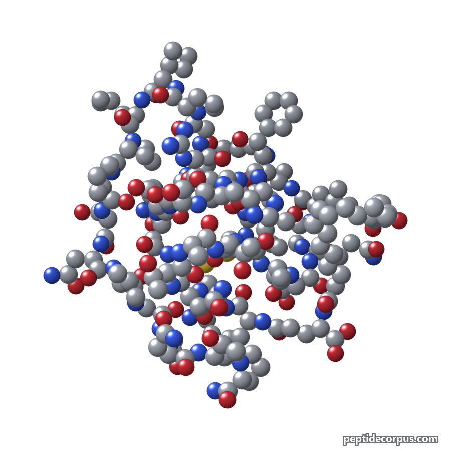 Space-filling 3D model of Cagrilintide, carbon grey, nitrogen blue, oxygen red