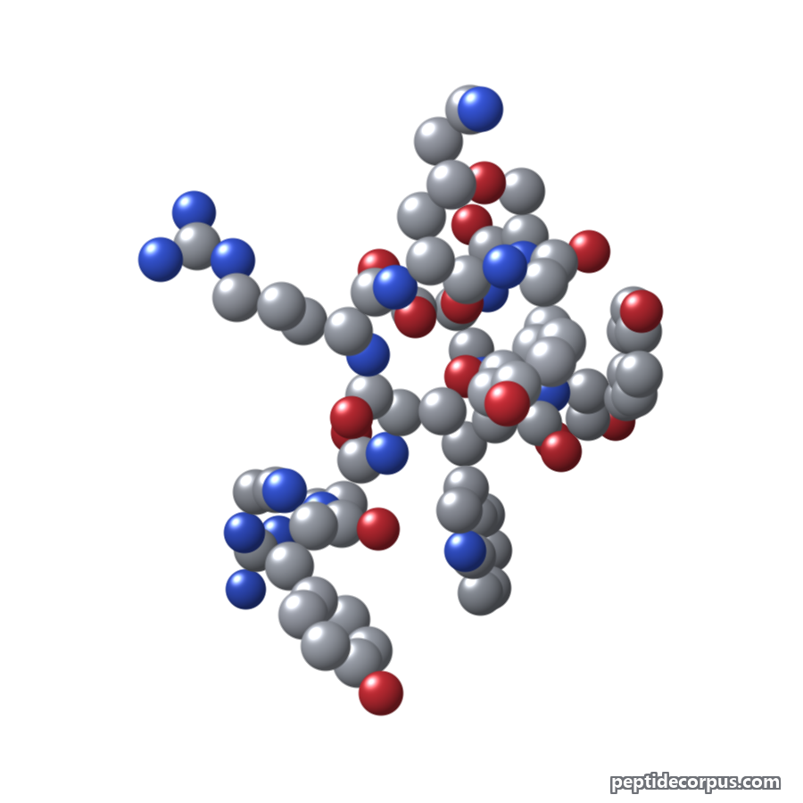 Space-filling 3D model of Decapeptide-12, carbon grey, nitrogen blue, oxygen red