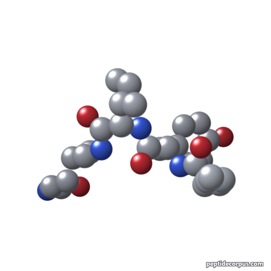 Space-filling 3D model of Dihexa, carbon grey, nitrogen blue, oxygen red