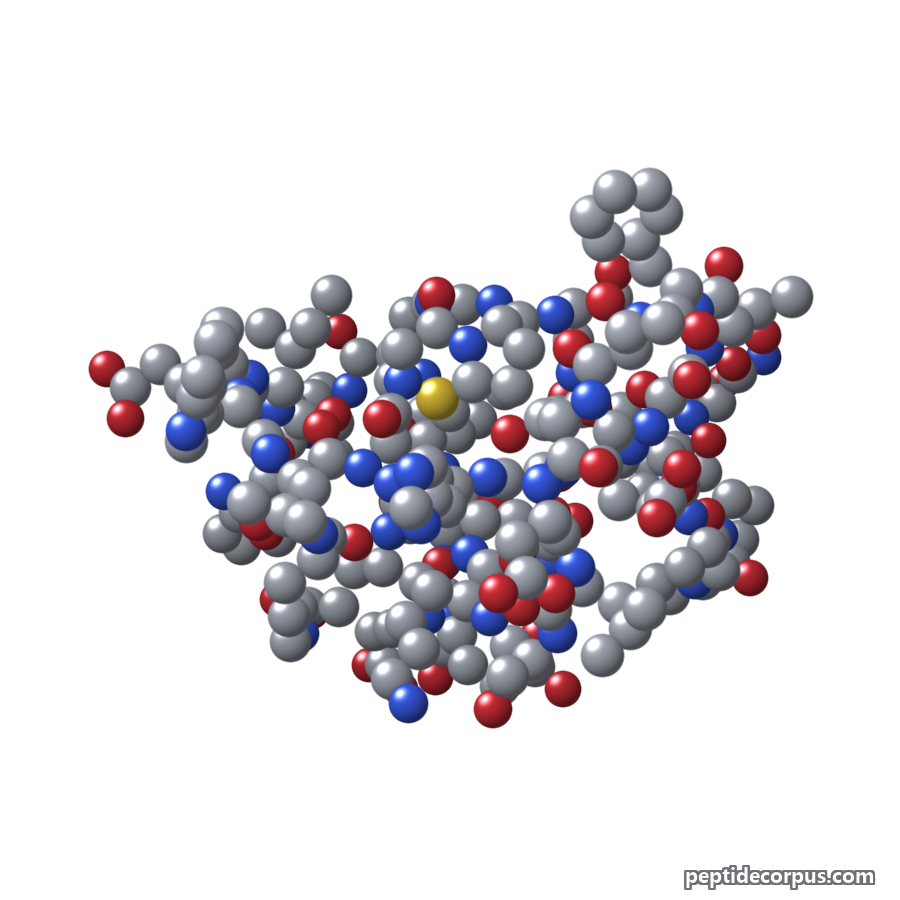 Space-filling 3D model of Exenatide, carbon grey, nitrogen blue, oxygen red