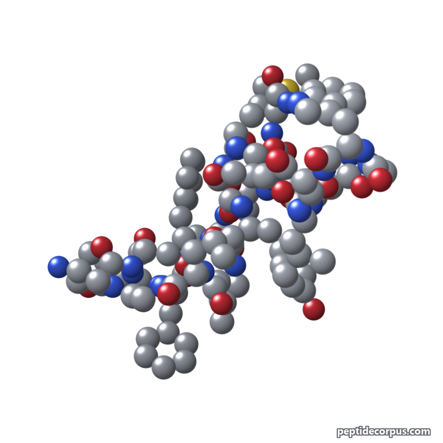 Space-filling 3D model of Galantide, carbon grey, nitrogen blue, oxygen red