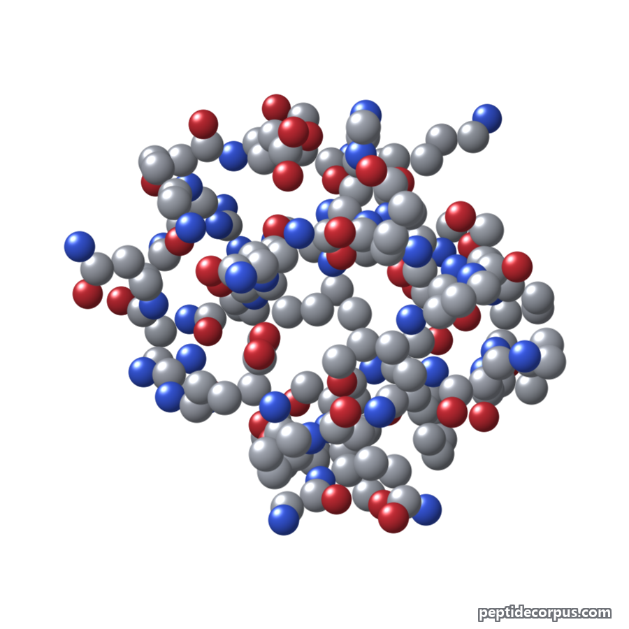 Space-filling 3D model of Ghrelin, carbon grey, nitrogen blue, oxygen red