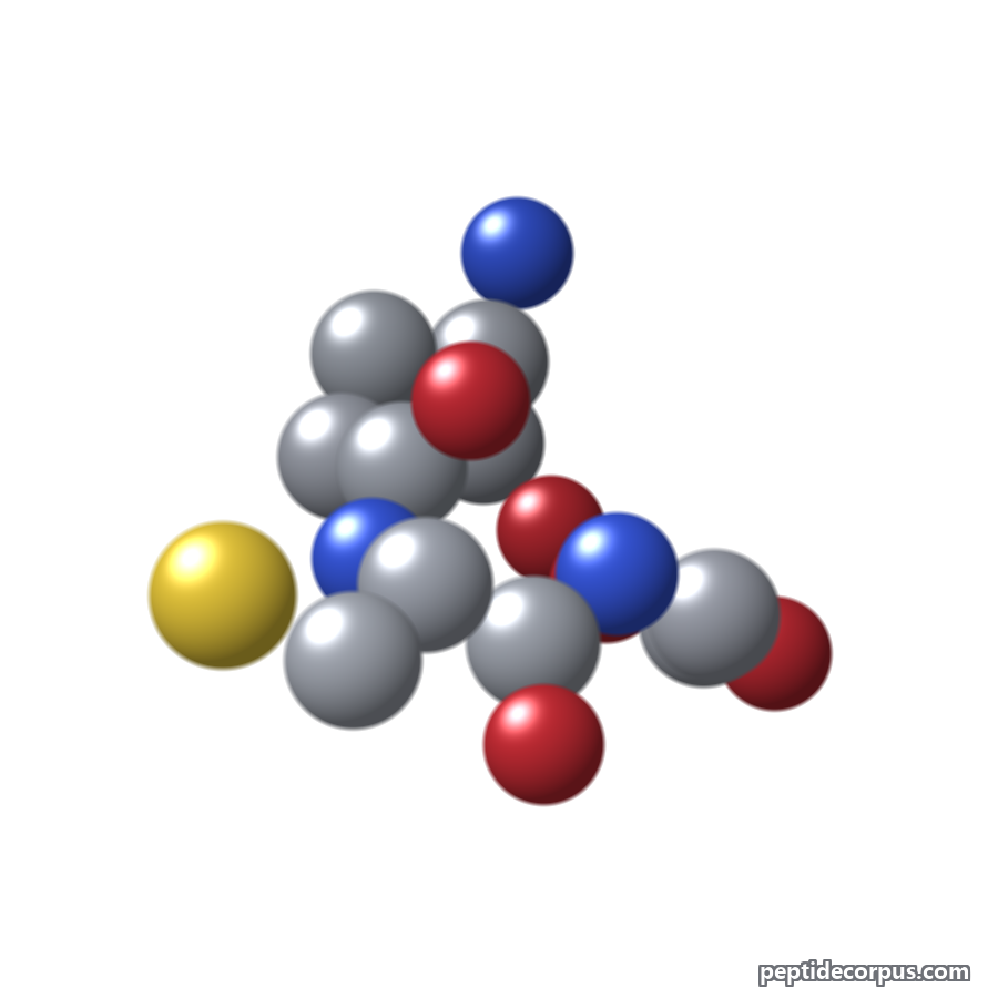 Space-filling 3D model of Glutathione, carbon grey, nitrogen blue, oxygen red