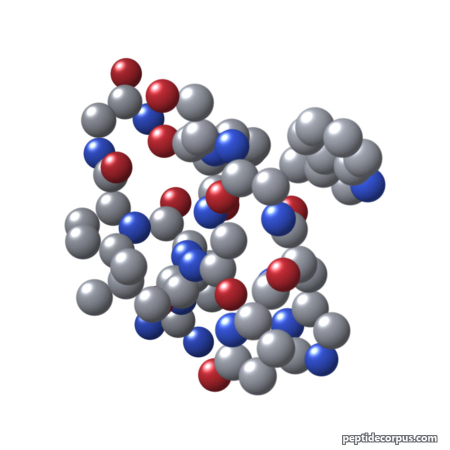 Space-filling 3D model of Gonadorelin, carbon grey, nitrogen blue, oxygen red