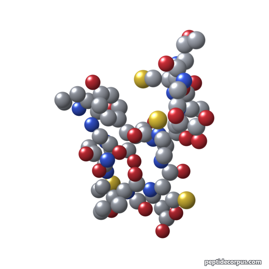 Space-filling 3D model of Guanylin, carbon grey, nitrogen blue, oxygen red