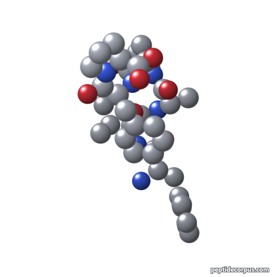 Space-filling 3D model of Hexapeptide-11, carbon grey, nitrogen blue, oxygen red