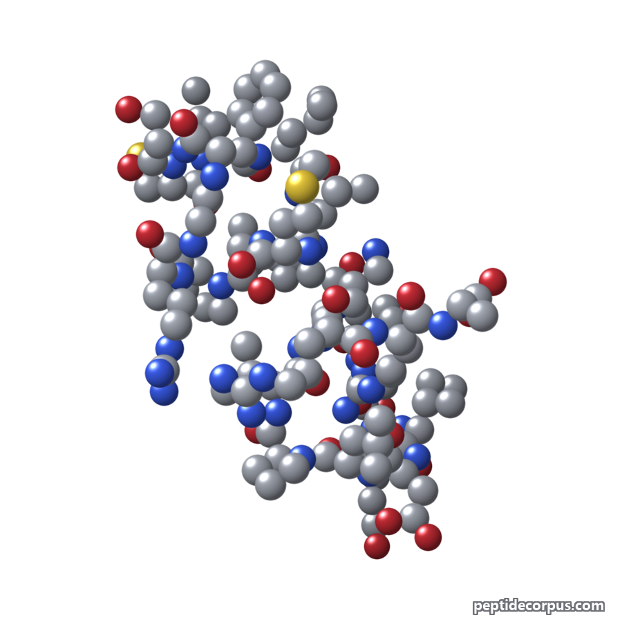 Space-filling 3D model of Humanin, carbon grey, nitrogen blue, oxygen red