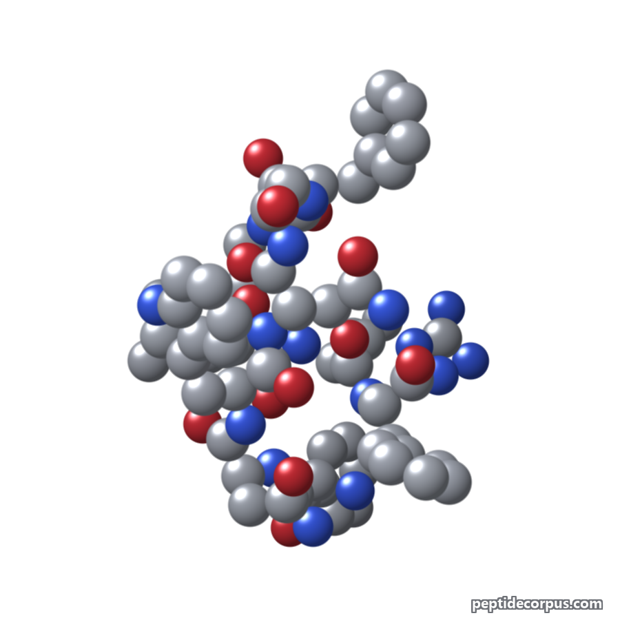 Space-filling 3D model of Kisspeptin-10, carbon grey, nitrogen blue, oxygen red