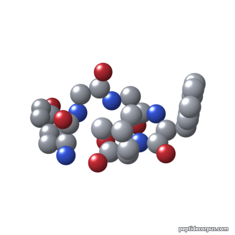 Space-filling 3D model of Leu-Enkephalin, carbon grey, nitrogen blue, oxygen red