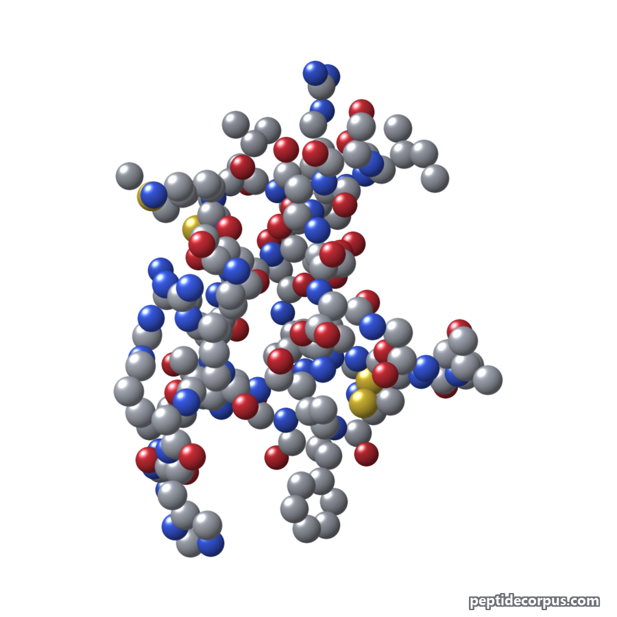 Space-filling 3D model of Nesiritide, carbon grey, nitrogen blue, oxygen red