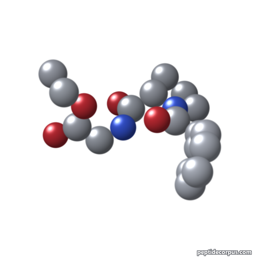 Space-filling 3D model of Noopept, carbon grey, nitrogen blue, oxygen red