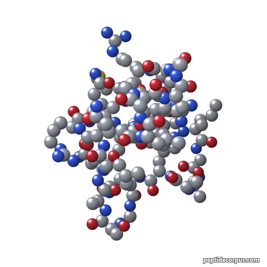 Space-filling 3D model of Orexin-B, carbon grey, nitrogen blue, oxygen red