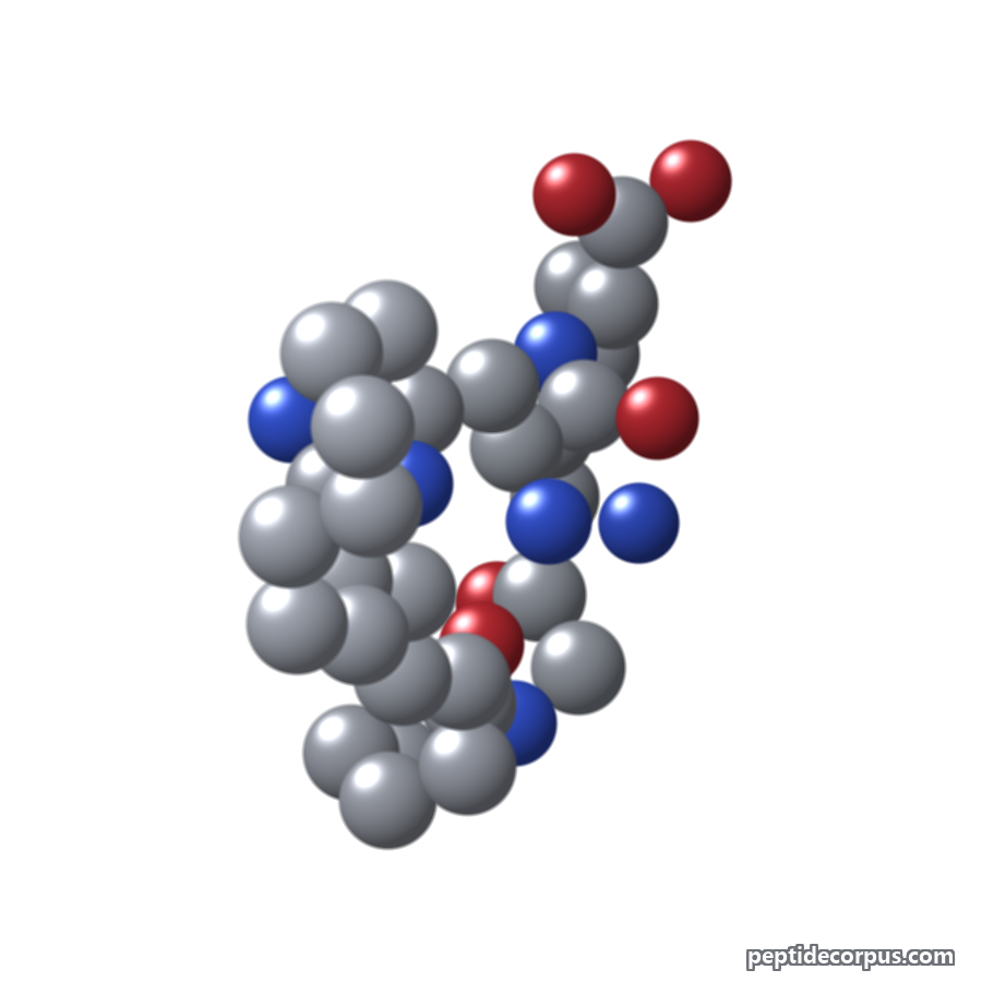 Space-filling 3D model of Palmitoyl Tripeptide-1, carbon grey, nitrogen blue, oxygen red