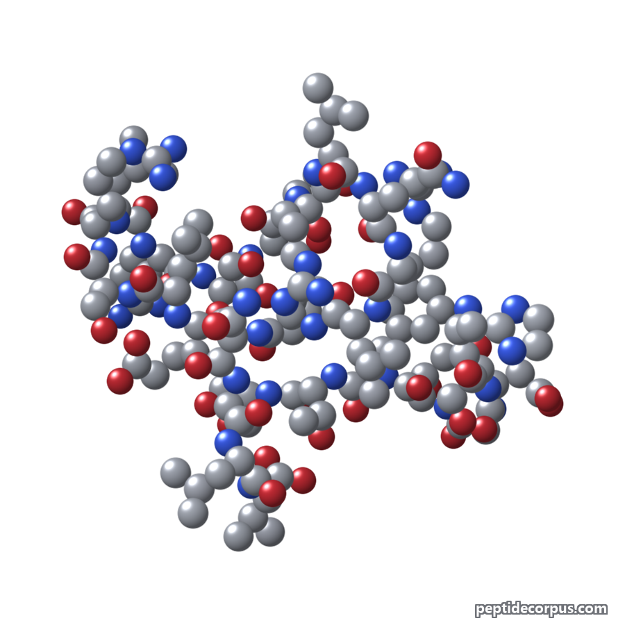 Space-filling 3D model of Secretin, carbon grey, nitrogen blue, oxygen red