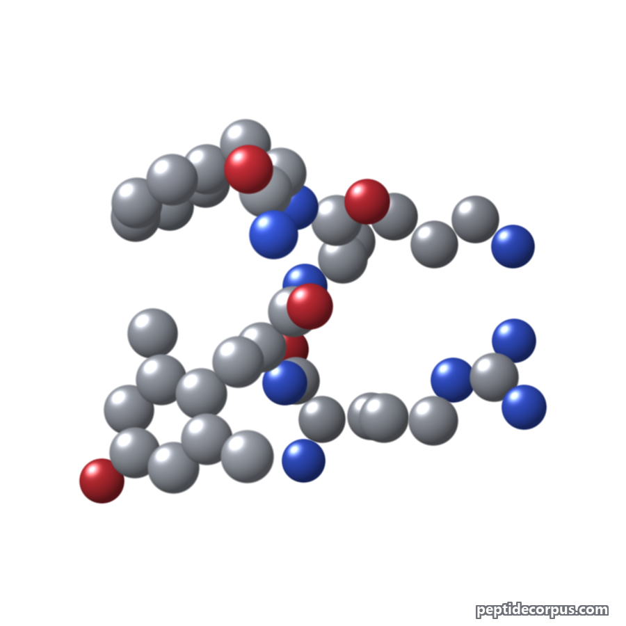 Space-filling 3D model of SS-31, carbon grey, nitrogen blue, oxygen red