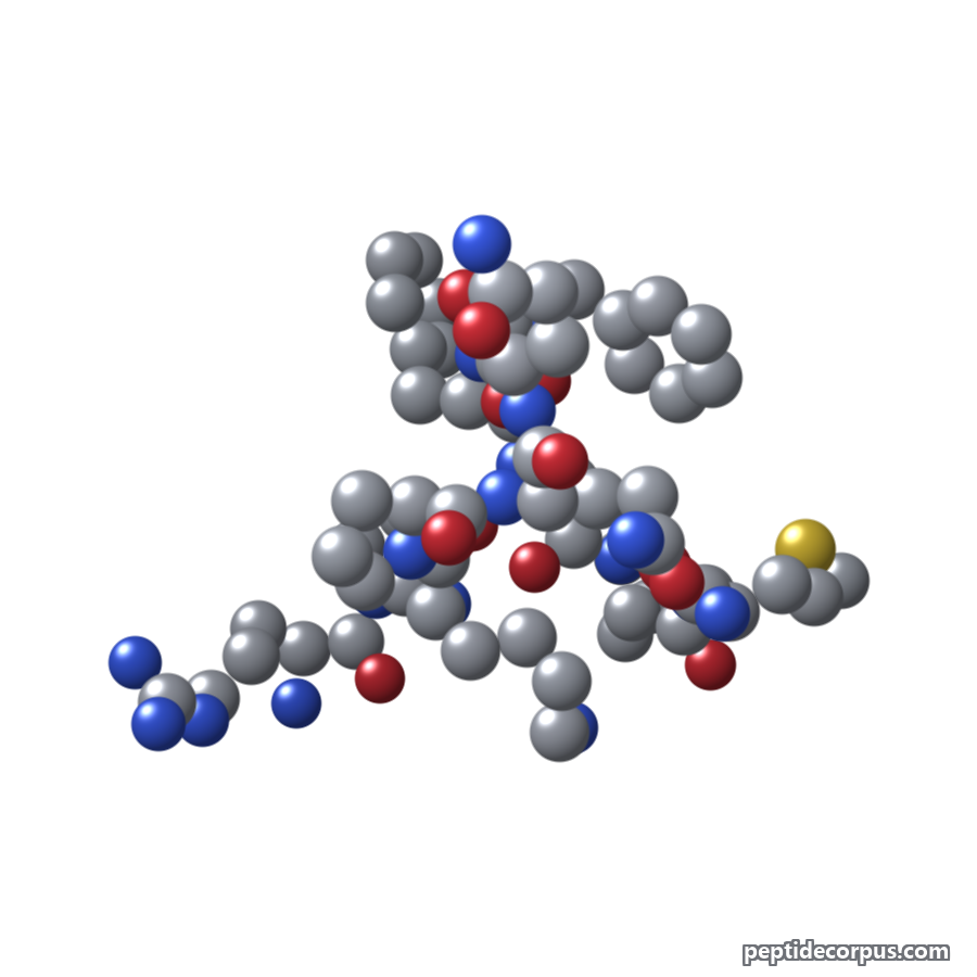 Space-filling 3D model of Substance P, carbon grey, nitrogen blue, oxygen red