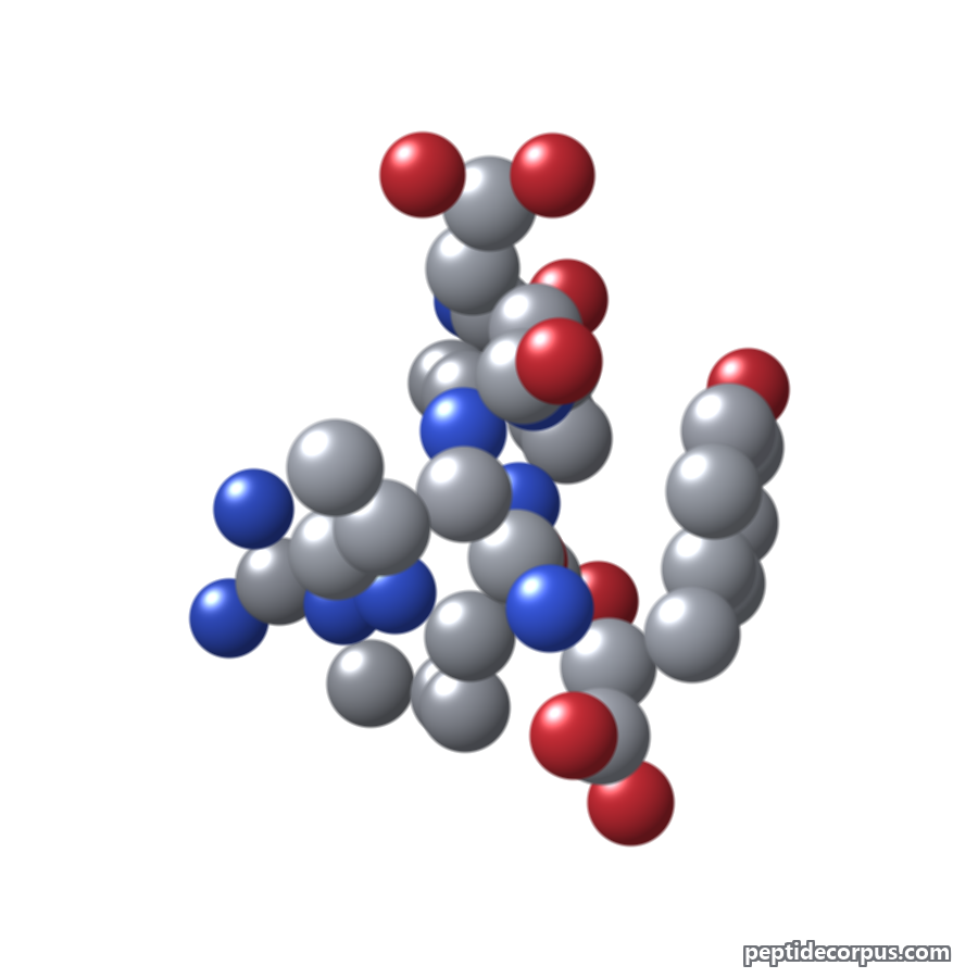 Space-filling 3D model of Thymopentin, carbon grey, nitrogen blue, oxygen red