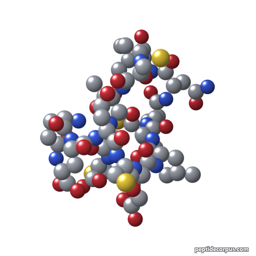 Space-filling 3D model of Uroguanylin, carbon grey, nitrogen blue, oxygen red