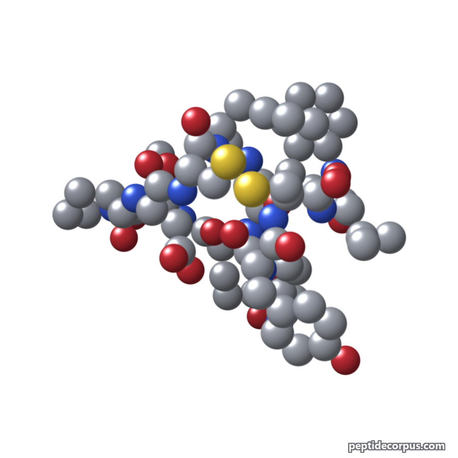 Space-filling 3D model of Urotensin II, carbon grey, nitrogen blue, oxygen red