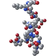 Space-filling model of BPC-157